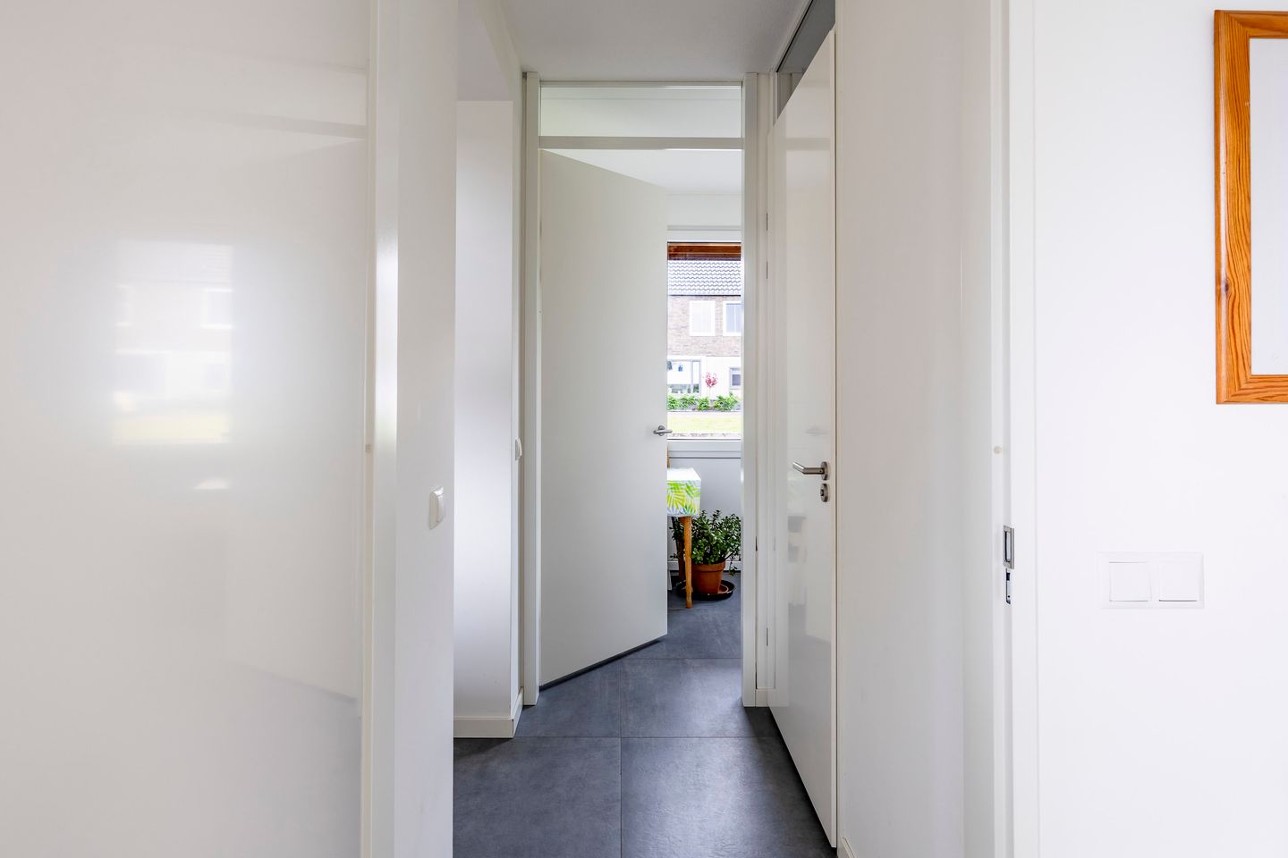 Photo 20 of Veldleeuwerik 21