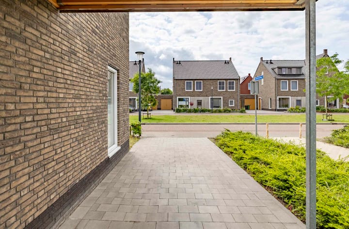 Foto 36 van Veldleeuwerik 21