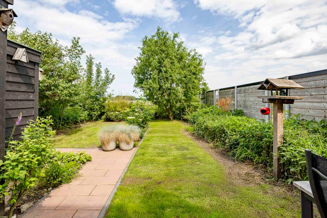 Photo 38 of Veldleeuwerik 21