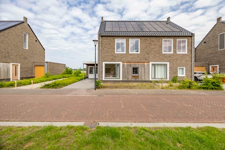 Foto 7 van Veldleeuwerik 21