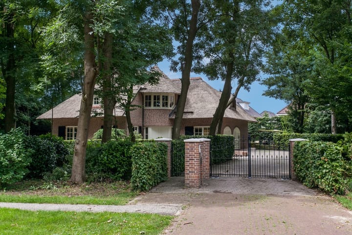 Foto 2 van Boswinde 125