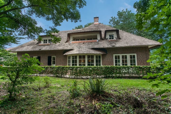 Foto 17 van Boswinde 125