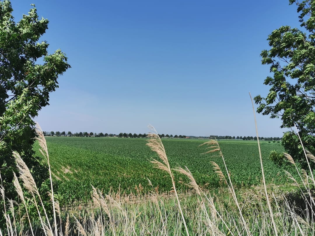 Foto 7 van Langstraat 58-A