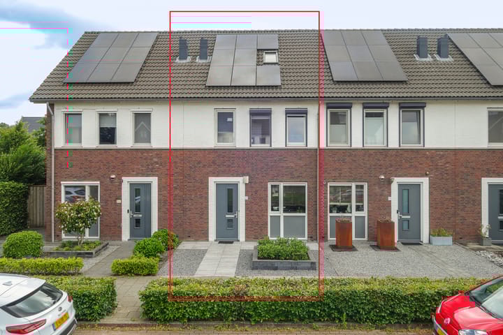 undefined main image