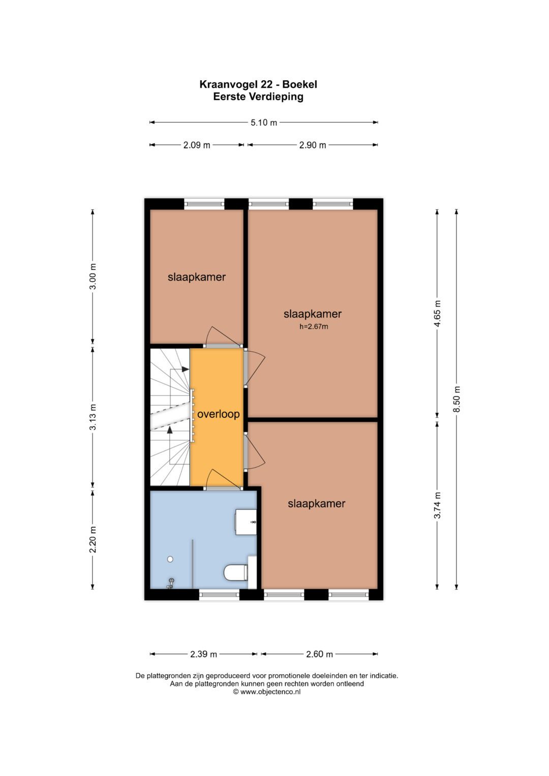 Foto 36 van Kraanvogel 22