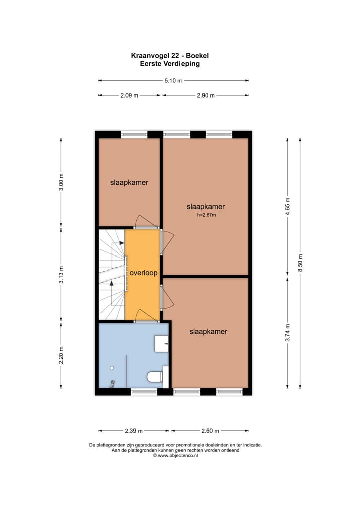 Foto 36 van Kraanvogel 22