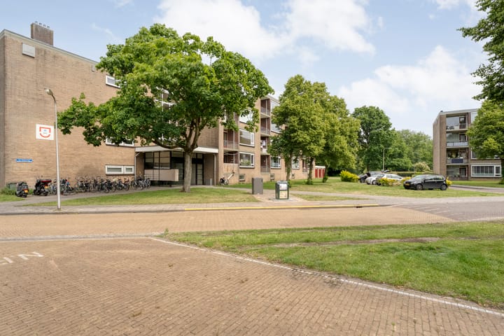 Foto 24 van van Ewijcksingel 78