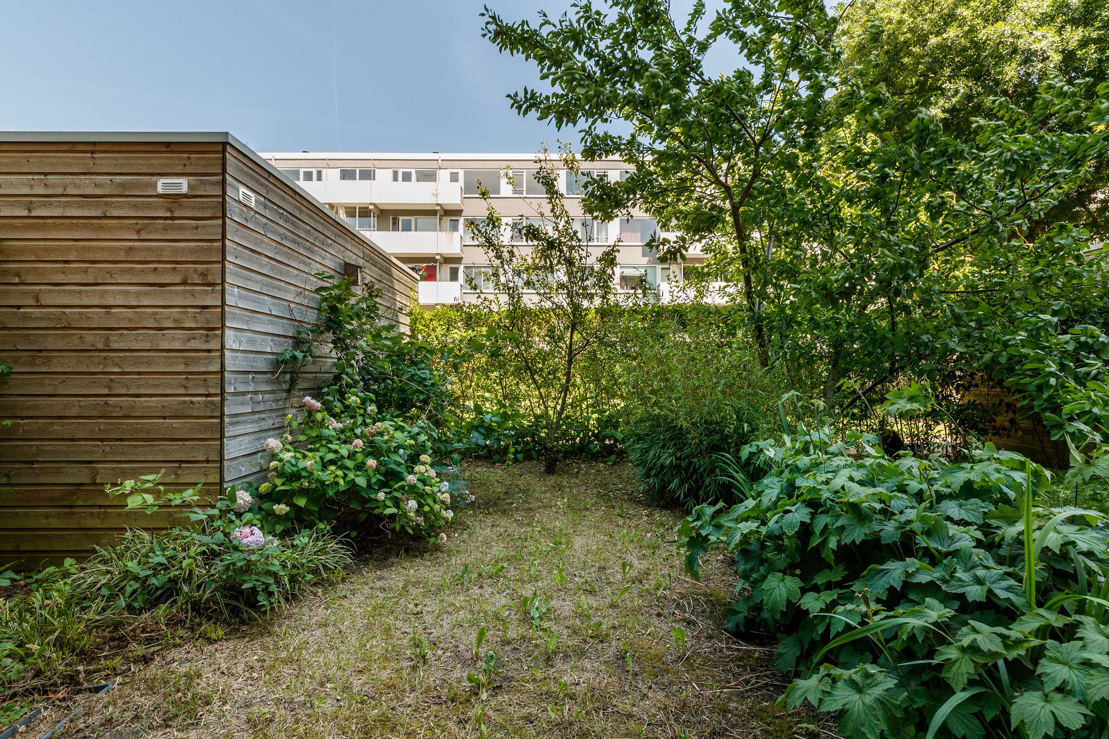 Foto 12 van Auriollaan 68-A