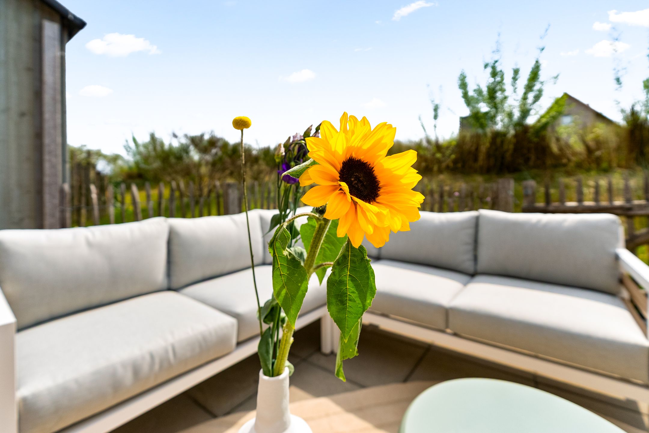 Foto 18 van Duinbeekstraat 22