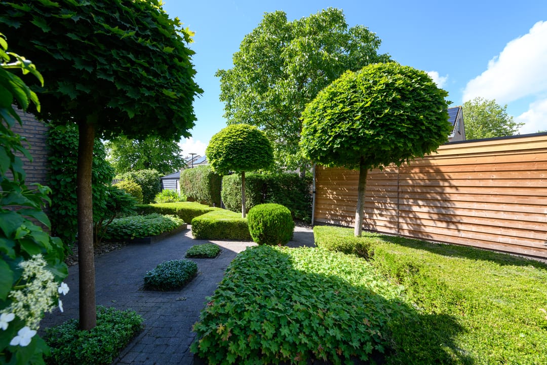 Foto 38 van Leppa 125