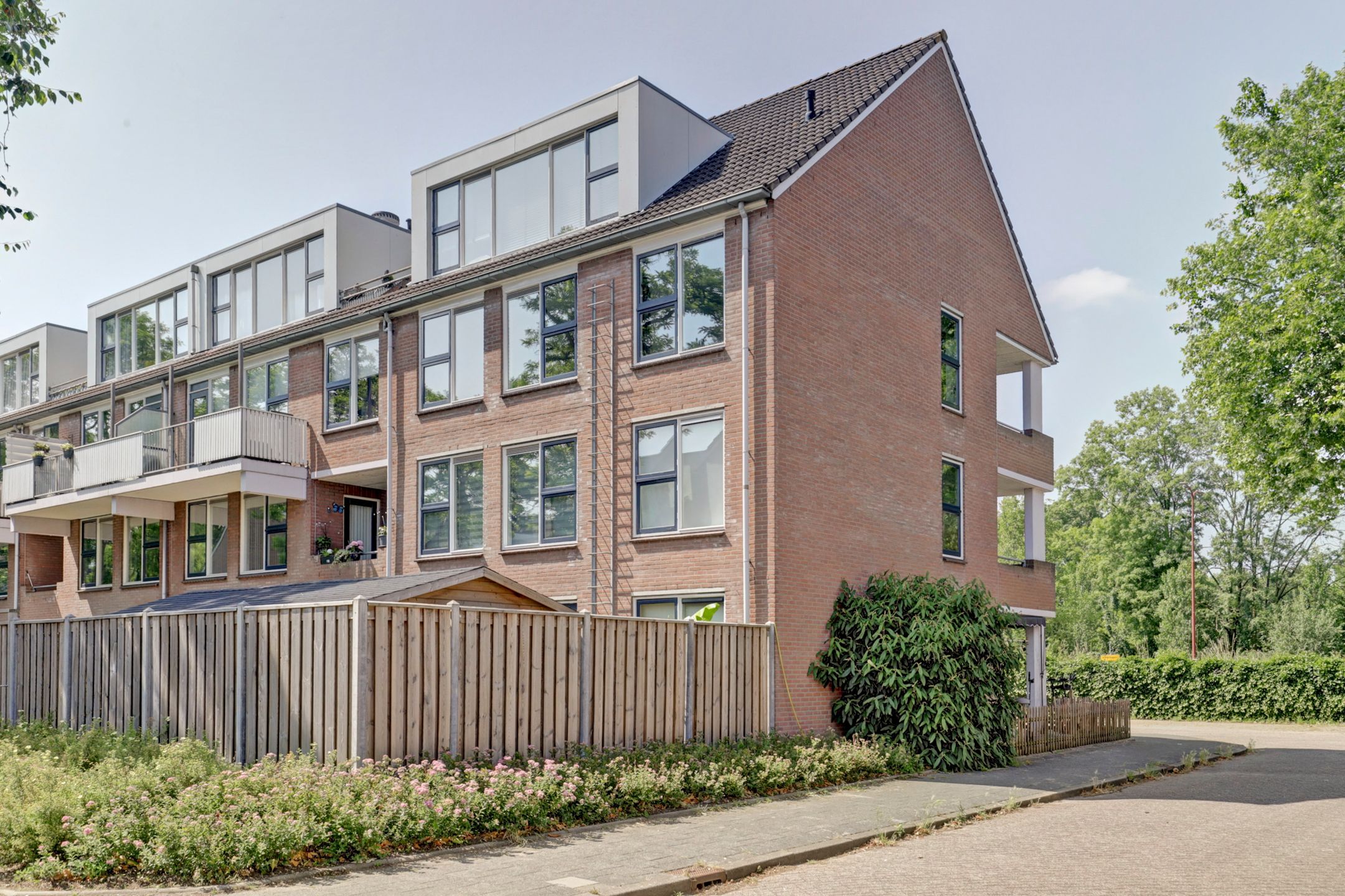 Foto 3 van Getijdemonde 5