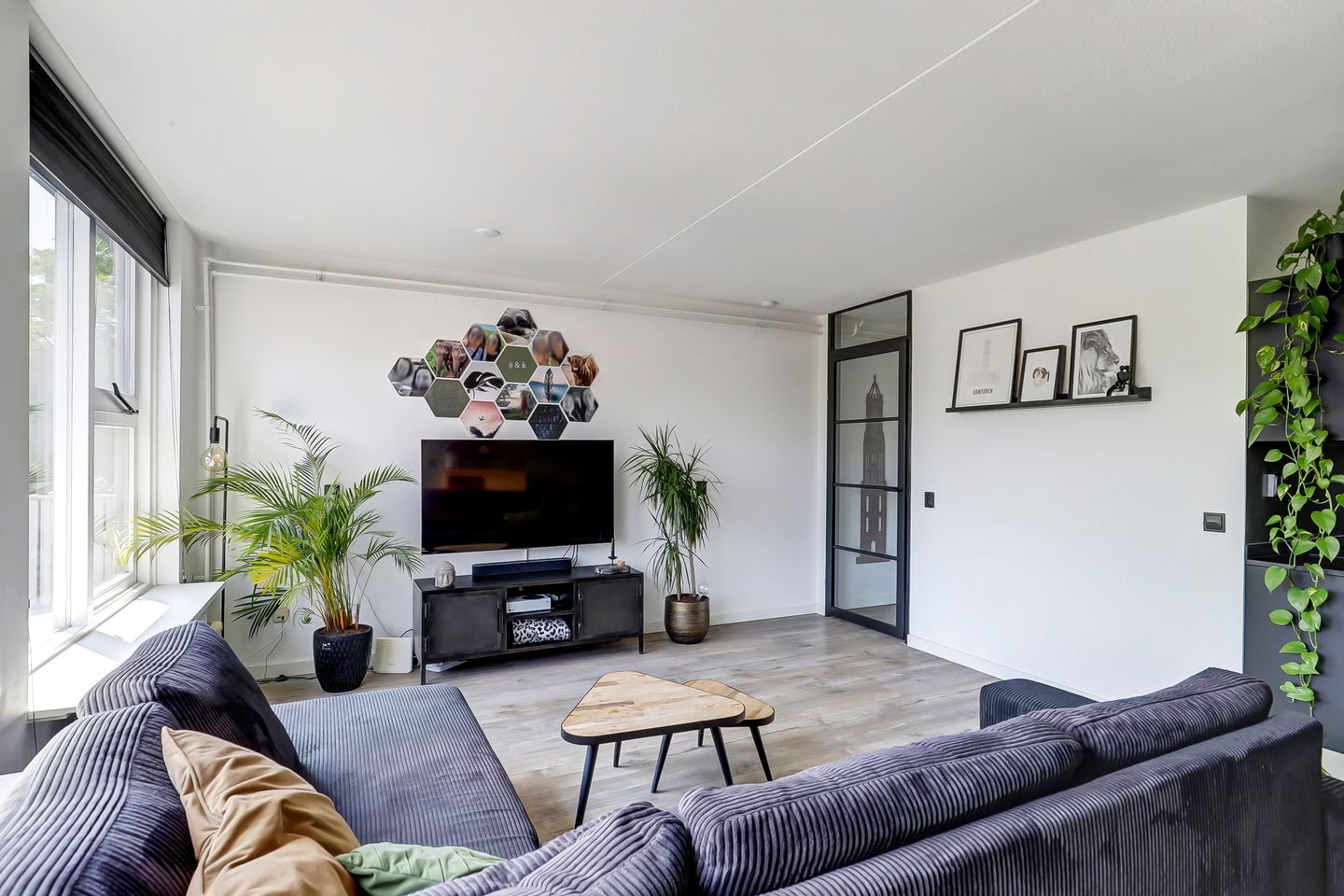 Foto 10 van Getijdemonde 5