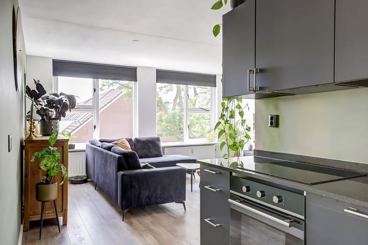 Photo 12 of Getijdemonde 5