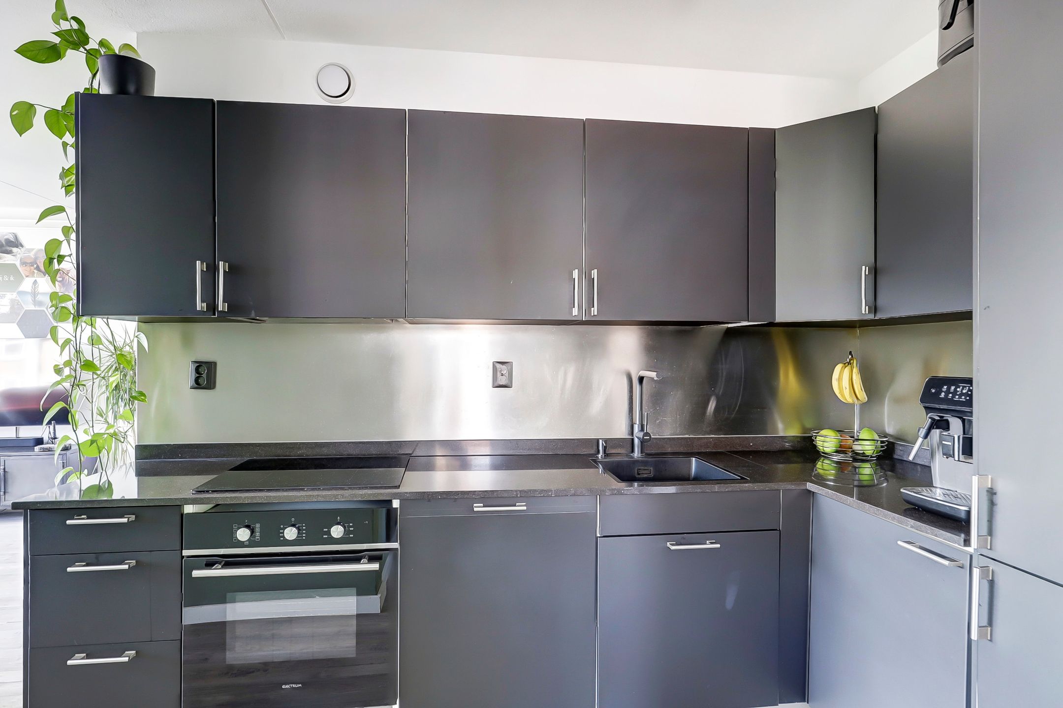 Foto 15 van Getijdemonde 5