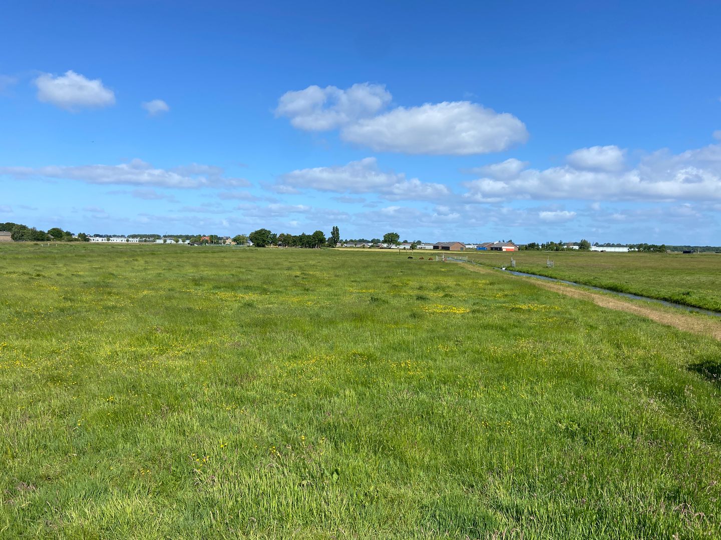 Bekijk foto 3 van Eerste Elsgeesterweg