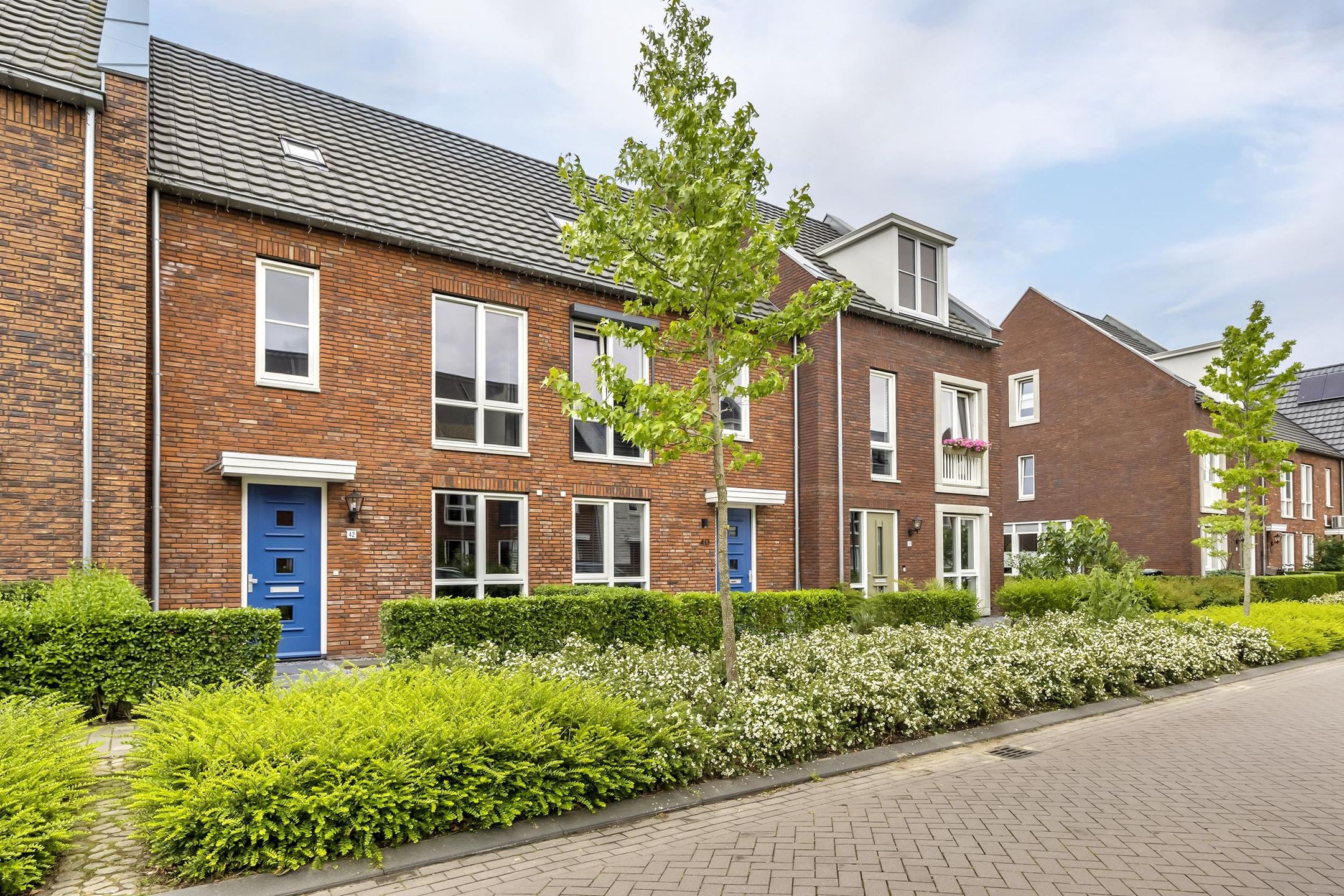 Foto 3 van Sergeant 42