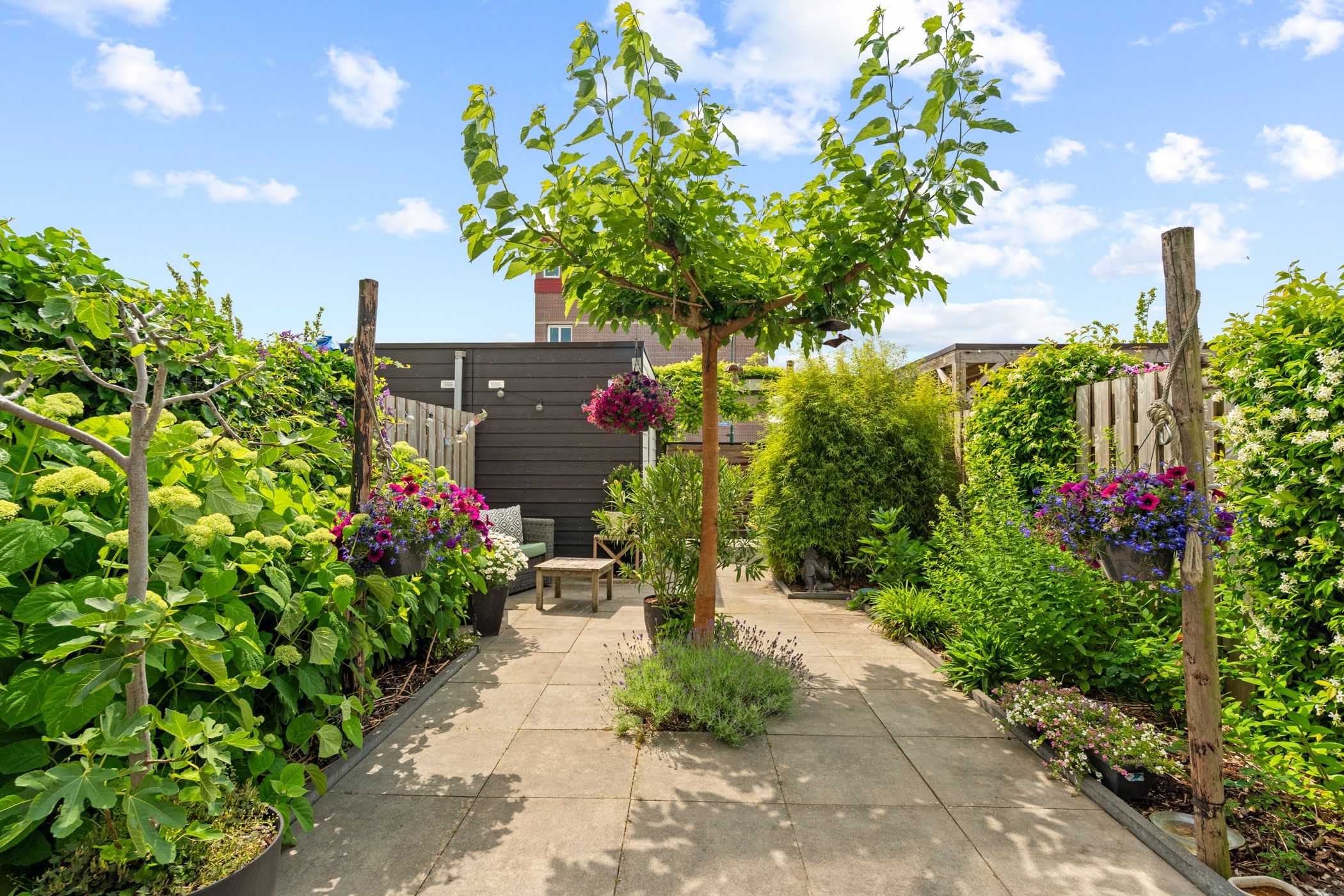 Foto 42 van David van Bourgondiëweg 37