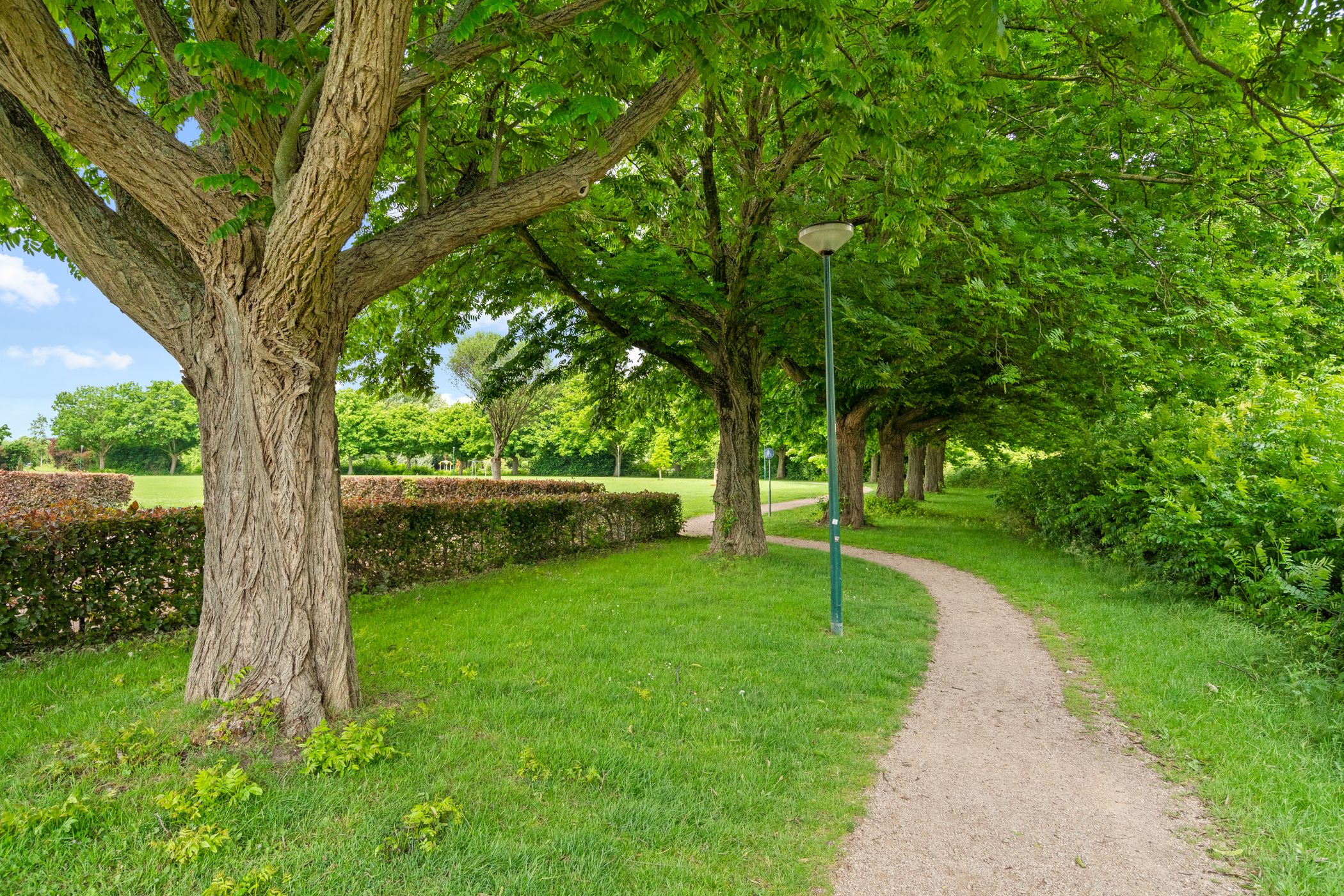 Foto 54 van David van Bourgondiëweg 37