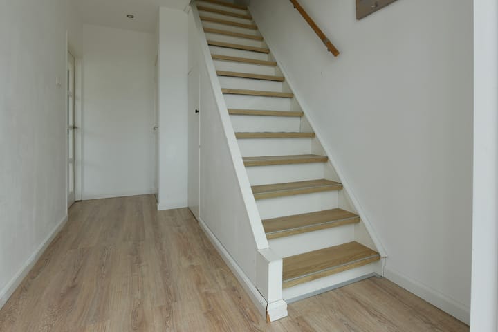 Photo 6 of Frans Halshof 6