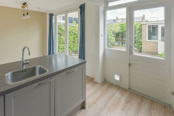 Photo 11 of Frans Halshof 6