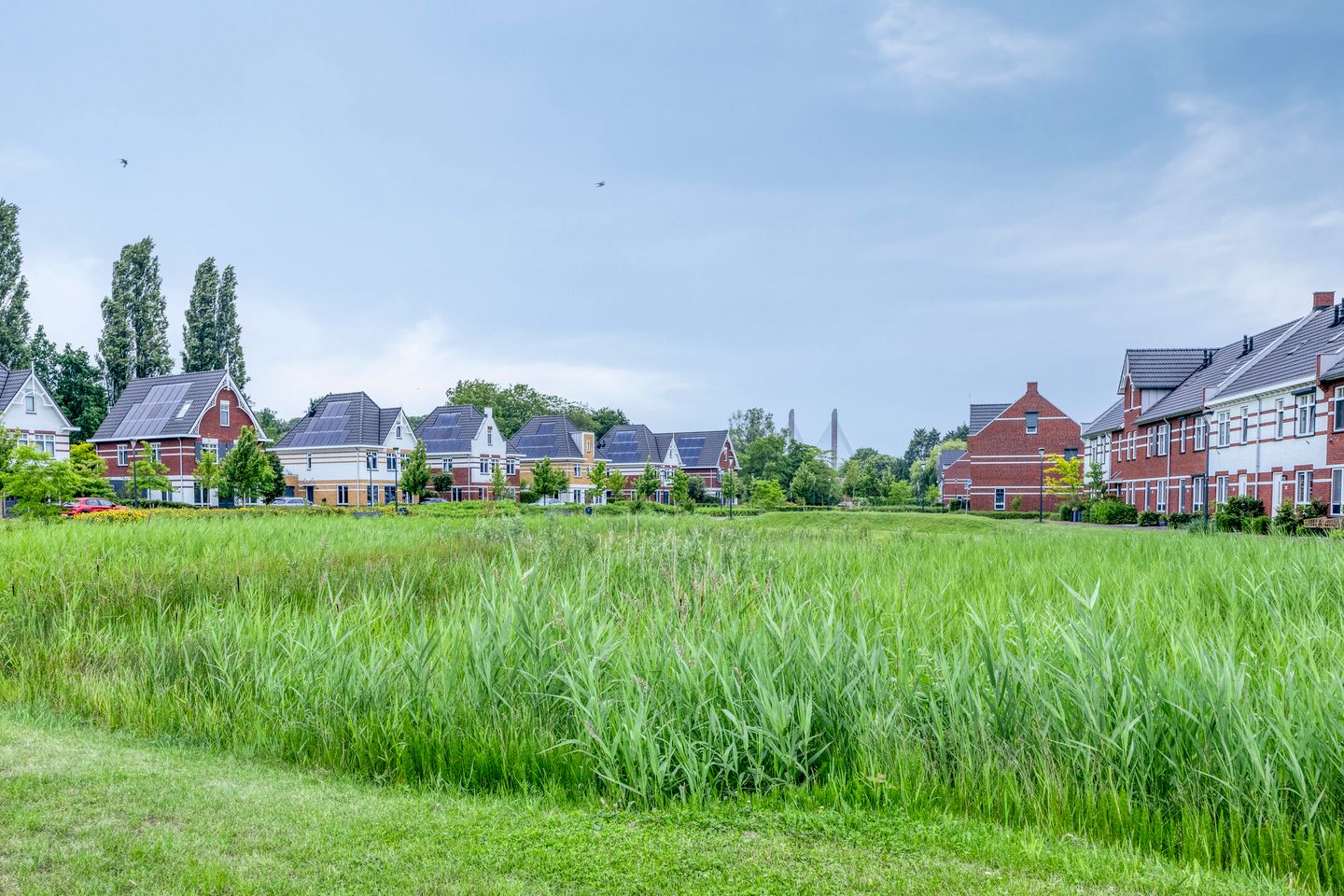 Foto 40 van Tinbergenplantsoen 95