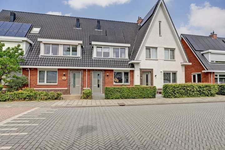 undefined main image