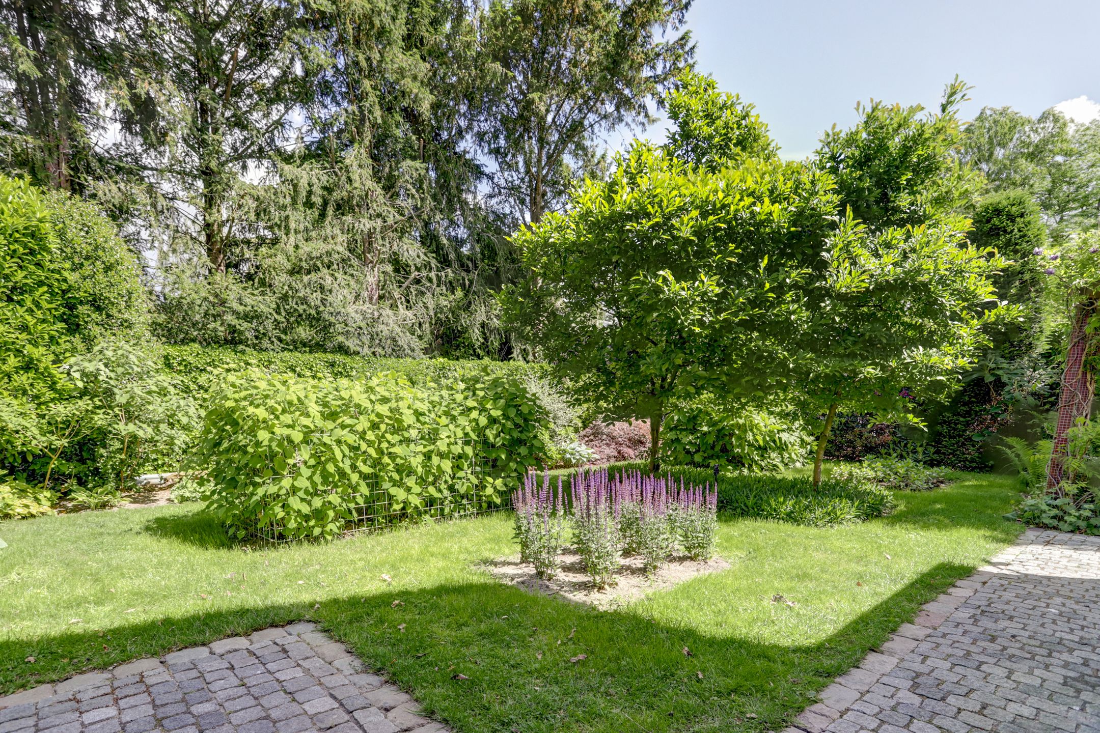 Foto 45 van Burgemeester van Besouwlaan 1