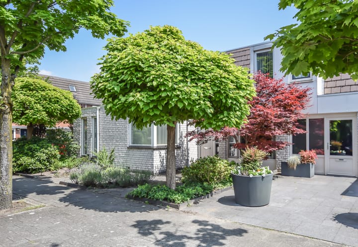 Foto 5 van Groen van Prinstererlaan 70