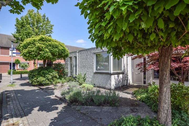 Foto 7 van Groen van Prinstererlaan 70