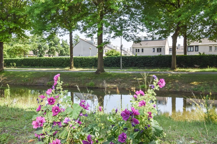 Foto 46 van Groen van Prinstererlaan 70