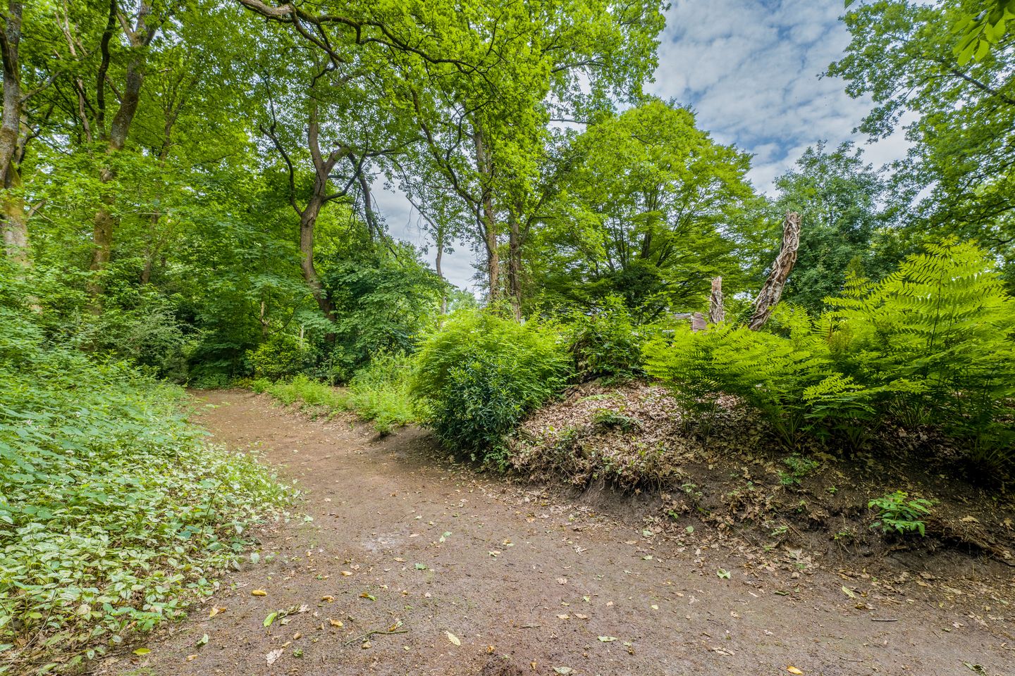 Foto 29 van Van Gelderlaan 51