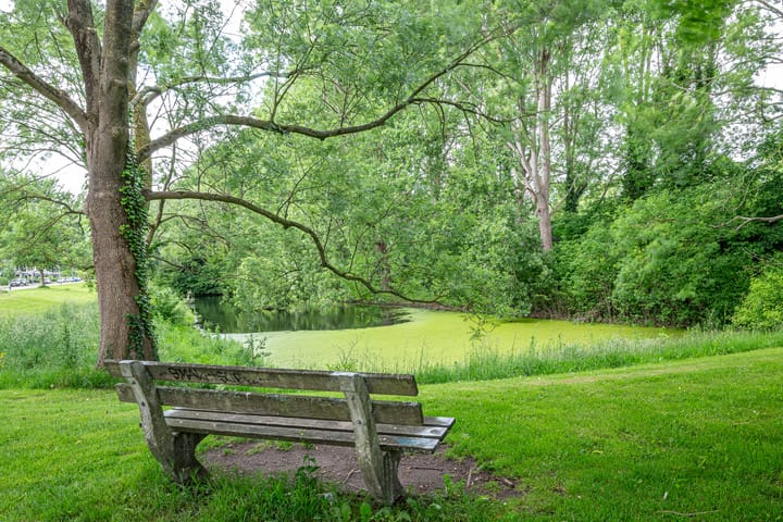 Photo 6 of Moesstraat 115