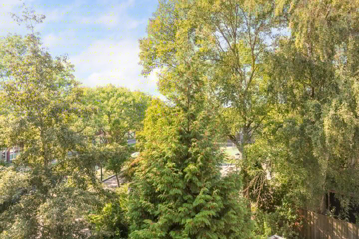 Foto 53 van Romolenstraat 68-RD