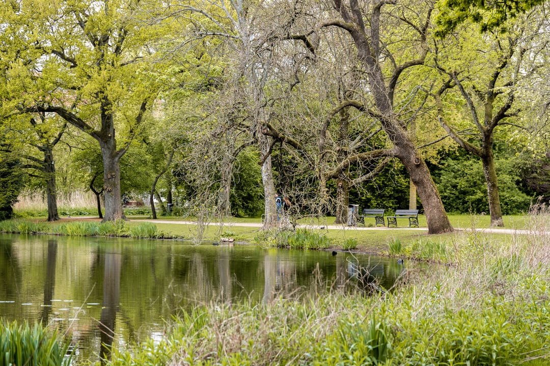 Foto 23 van Koninginneweg 65-3