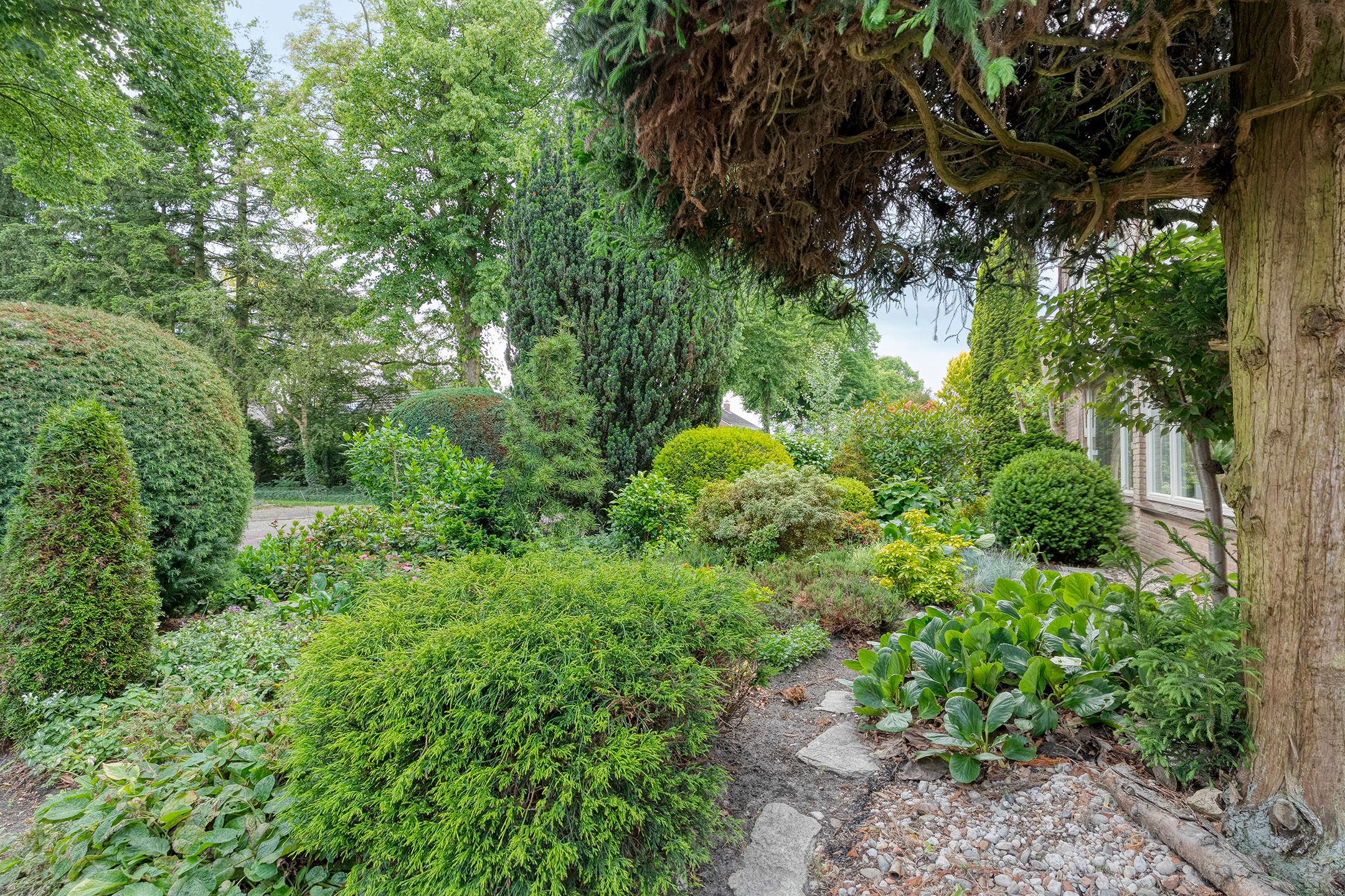 Foto 42 van Hardenbergerweg 85