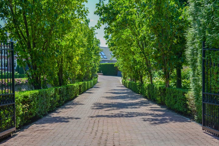 Foto 4 van Buitenpad 1