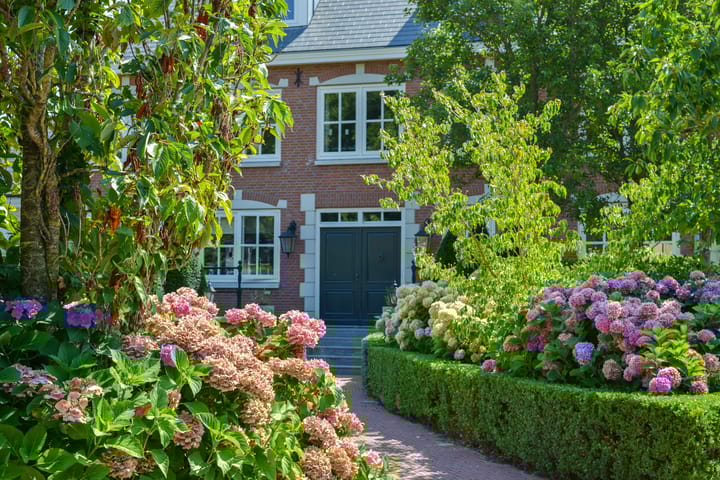 Foto 13 van Buitenpad 1