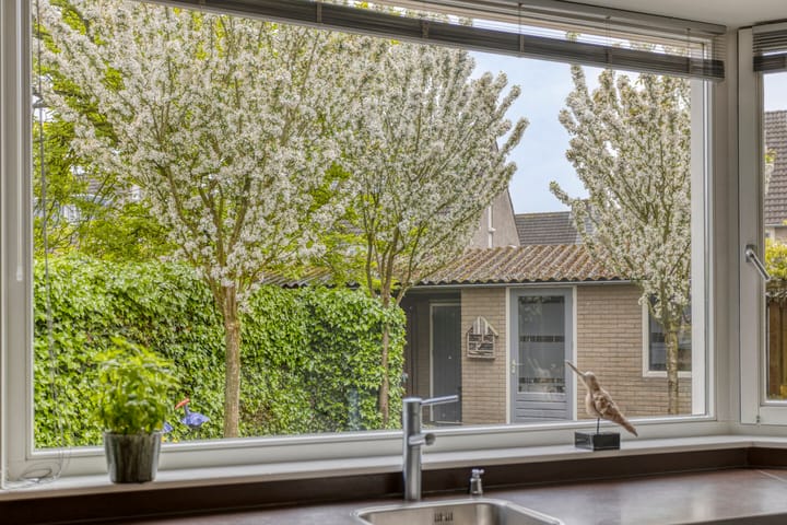 Foto 19 van Elendil 93