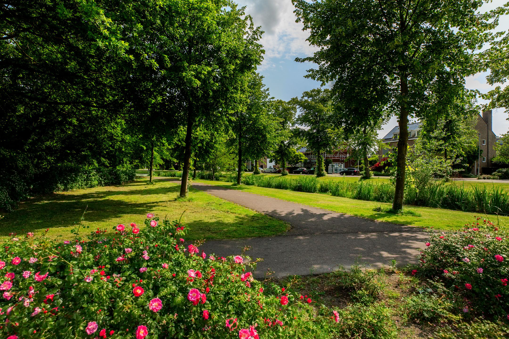 Foto 24 van Burgemeester Baumannlaan 171-C