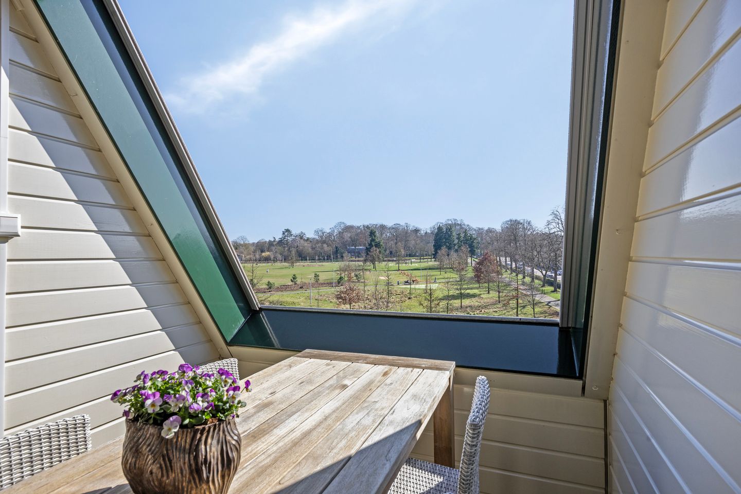 Foto 4 van Molenveldlaan 292