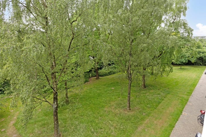 Photo 21 of Zangvogelweg 14