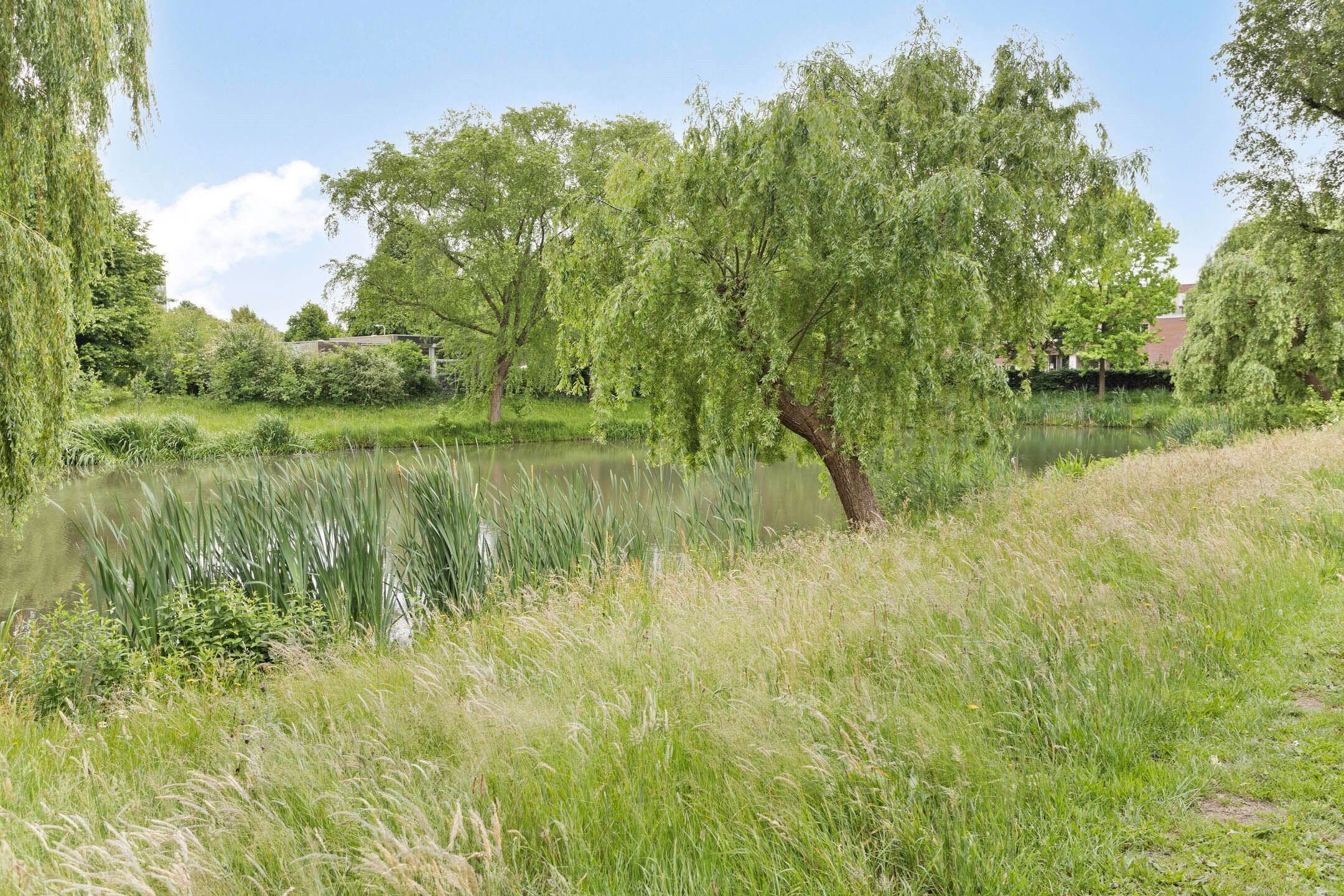 Foto 24 van Zangvogelweg 14