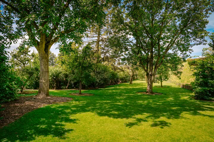 Foto 59 van Waalbandijk 11