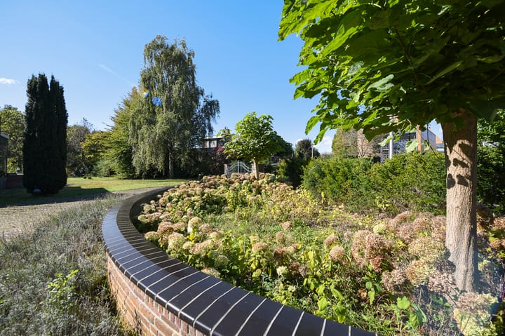 Photo 57 of Groenling 19