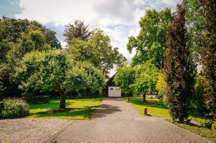 Foto 65 van Waalbandijk 11