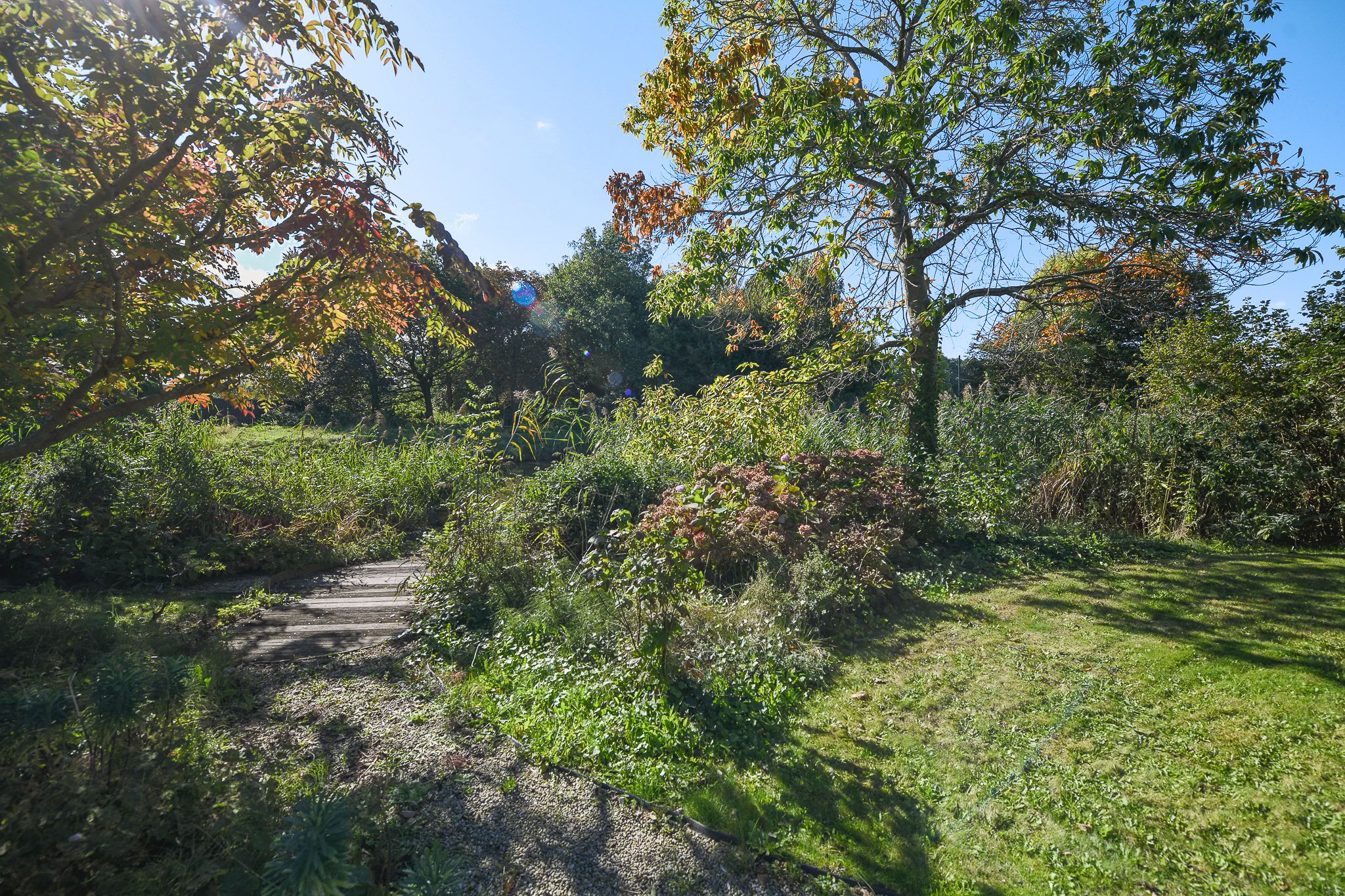 Foto 63 van Groenling 19