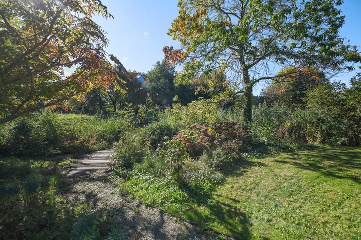 Photo 62 of Groenling 19