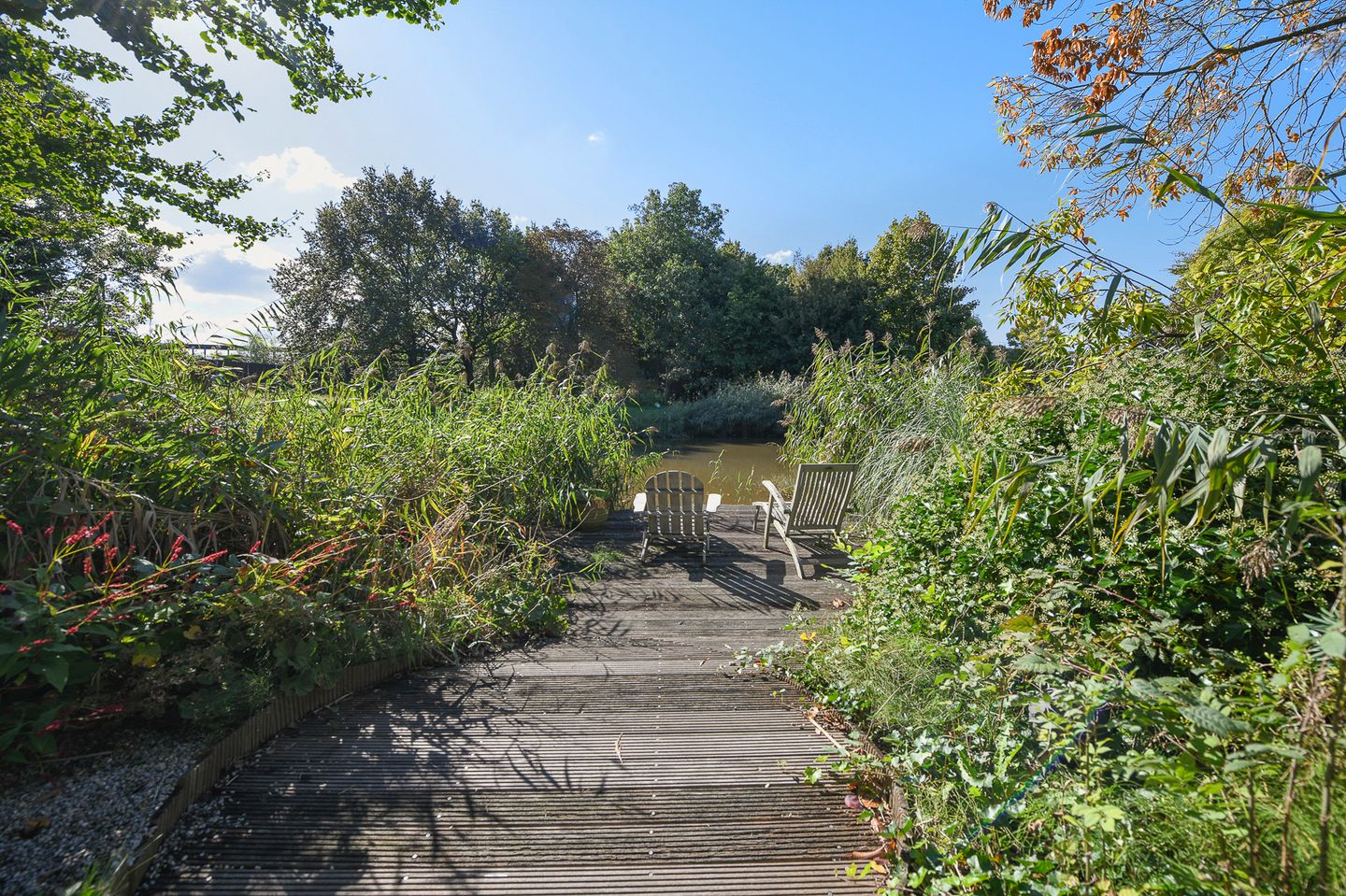 Foto 64 van Groenling 19