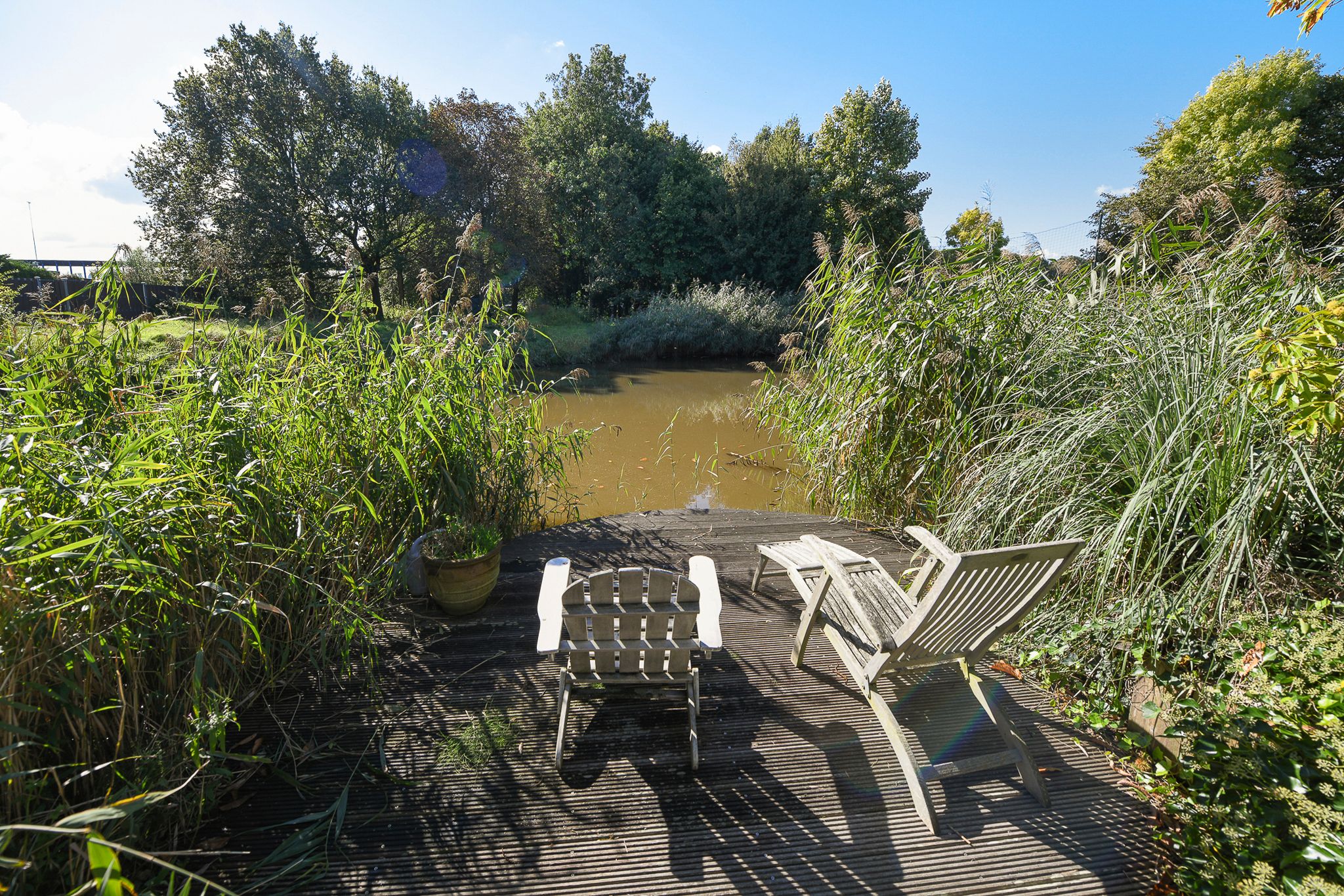 Foto 66 van Groenling 19