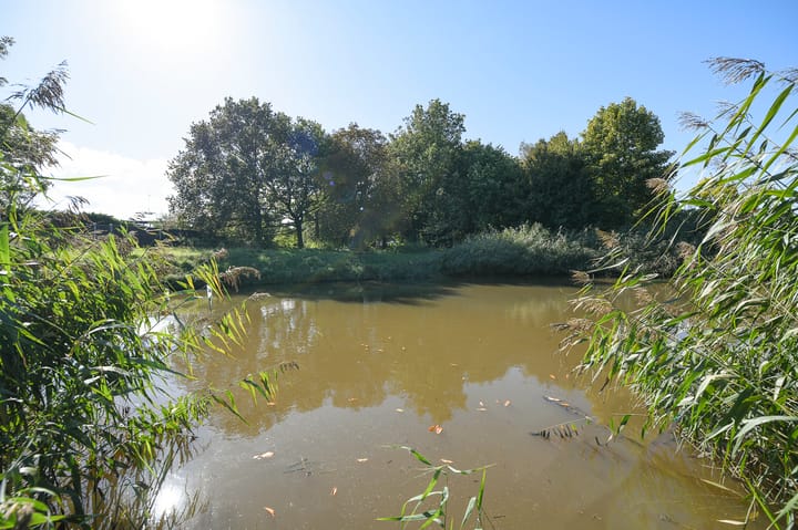 Photo 66 of Groenling 19